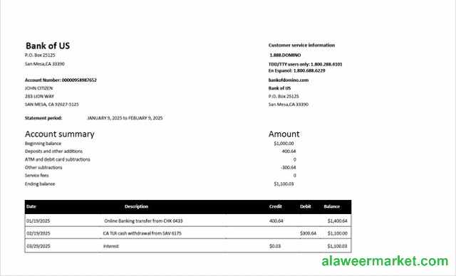 USA Bank of US account statement Word and PDF template